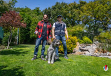 ¡El Perrario: Un paraíso para tu mejor amigo!