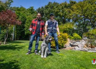 ¡El Perrario: Un paraíso para tu mejor amigo!