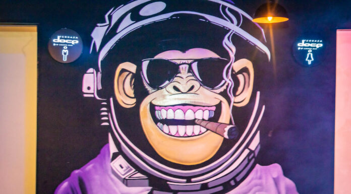 Terraza 12 Satélite: Donde la Diversión y las Promos Nunca Fallan