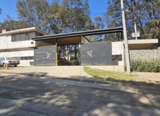 SUA: Un Respiro para el Alma en el Corazón de la Naturaleza