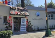 Cafebrería Había una Vez: Libros, Café y Comunidad en el Corazón de Satélite