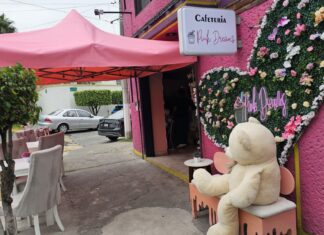Pink Dreams Coffee: El Rincón Más Rosado de Satélite